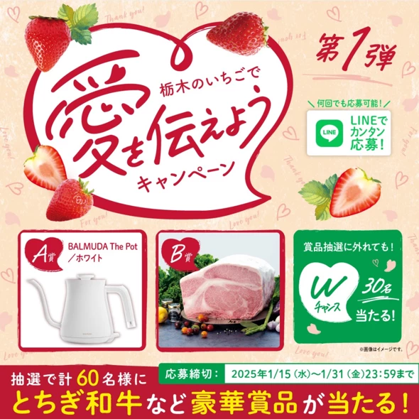 栃木のいちごで愛を伝えようキャンペーン